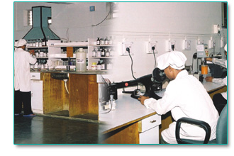 Laboratory Set Up